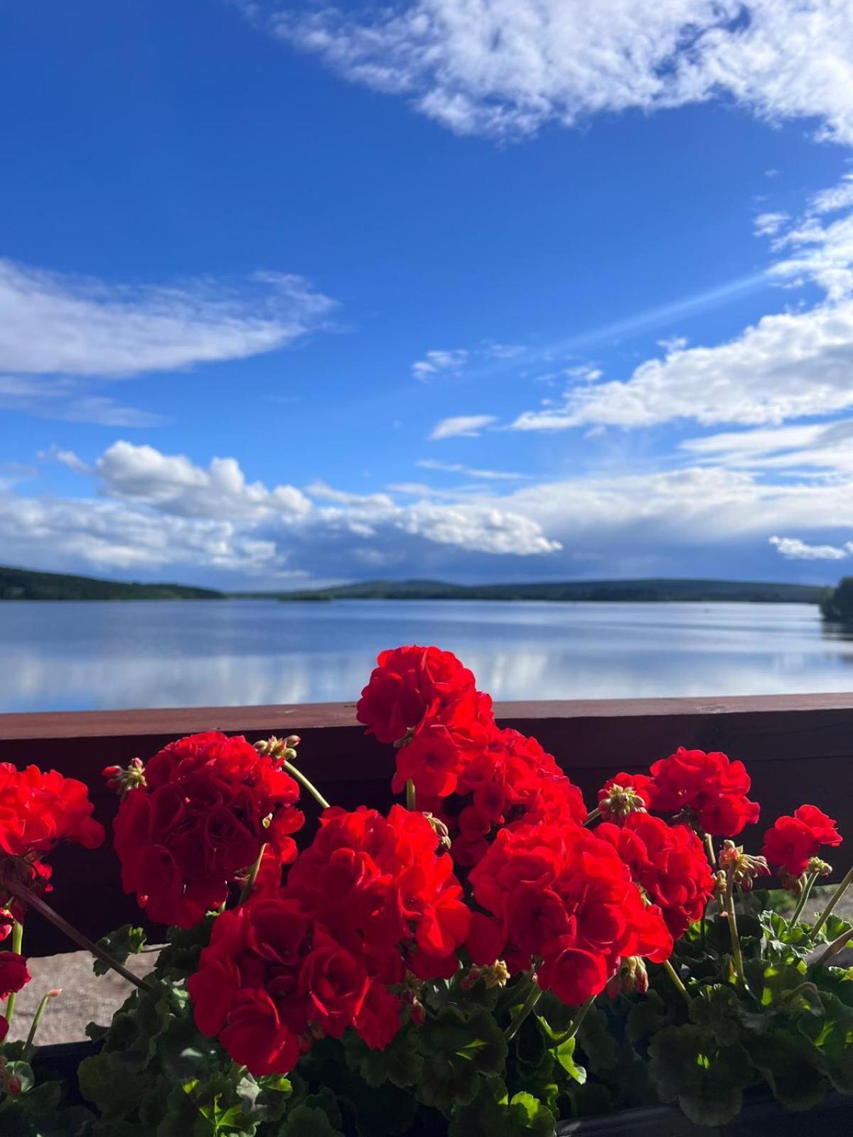 Jauri Resort Kemijarvi Exterior photo